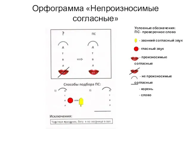 Орфограмма «Непроизносимые согласные» Условные обозначения: ПС - проверочное слово -