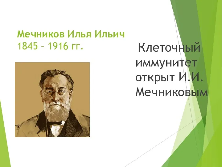 Мечников Илья Ильич 1845 – 1916 гг. Клеточный иммунитет открыт И.И. Мечниковым