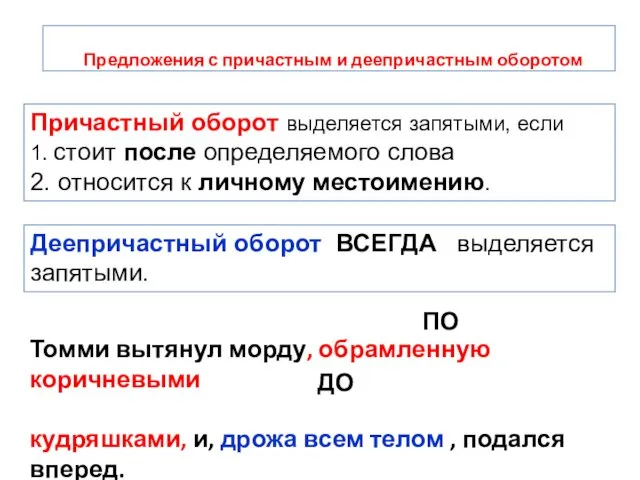 Предложения с причастным и деепричастным оборотом Причастный оборот выделяется запятыми,