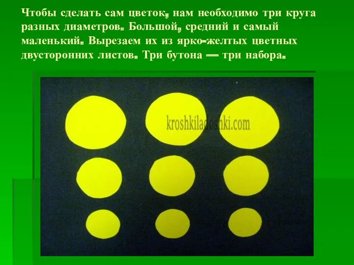 Чтобы сделать сам цветок, нам необходимо три круга разных диаметров.