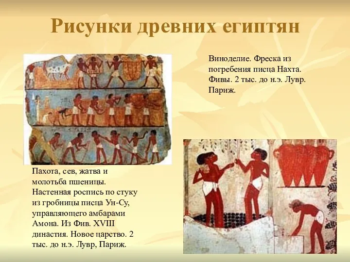 Рисунки древних египтян Виноделие. Фреска из погребения писца Нахта. Фивы.
