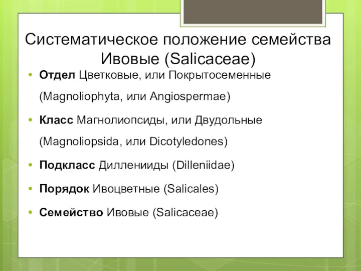 Систематическое положение семейства Ивовые (Salicaceae) Отдел Цветковые, или Покрытосеменные (Magnoliophyta,