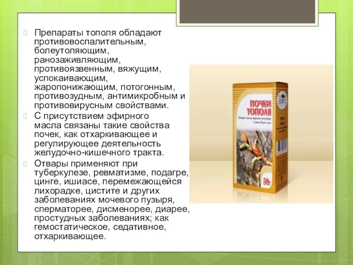 Препараты тополя обладают противовоспалительным, болеутоляющим, ранозаживляющим, противоязвенным, вяжущим, успокаивающим, жаропонижающим,