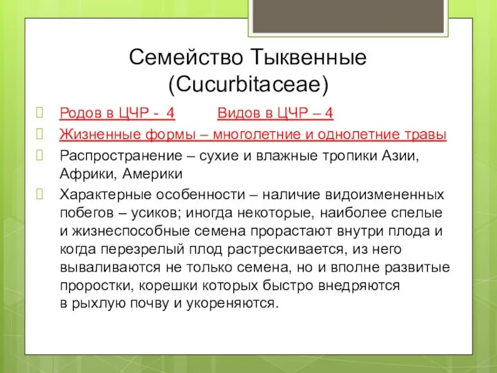 Семейство Тыквенные (Cucurbitaceae) Родов в ЦЧР - 4 Видов в