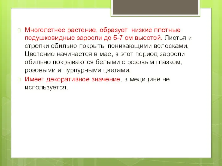 Многолетнее растение, образует низкие плотные подушковидные заросли до 5-7 см