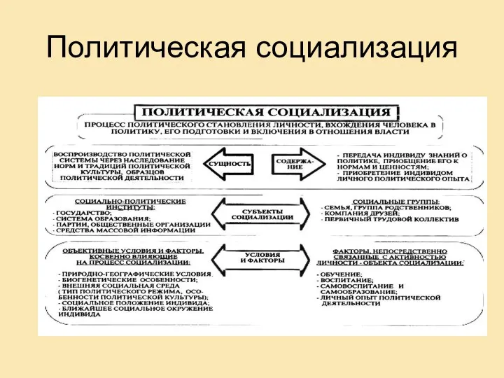 Политическая социализация