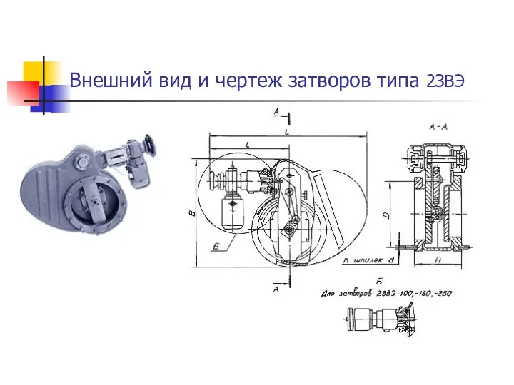 Внешний вид и чертеж затворов типа 2ЗВЭ