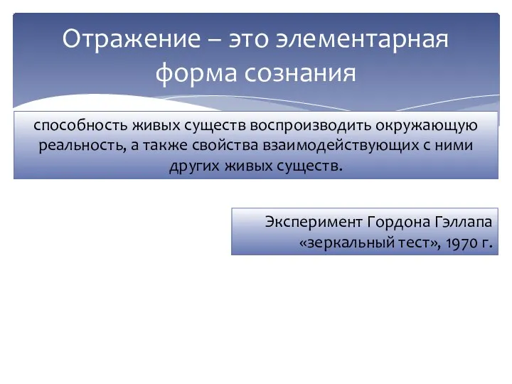 Отражение – это элементарная форма сознания способность живых существ воспроизводить