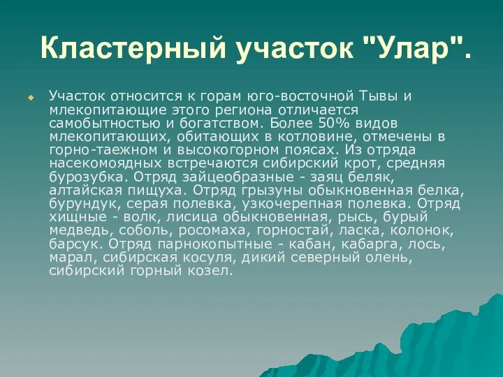 Кластерный участок "Улар". Участок относится к горам юго-восточной Тывы и