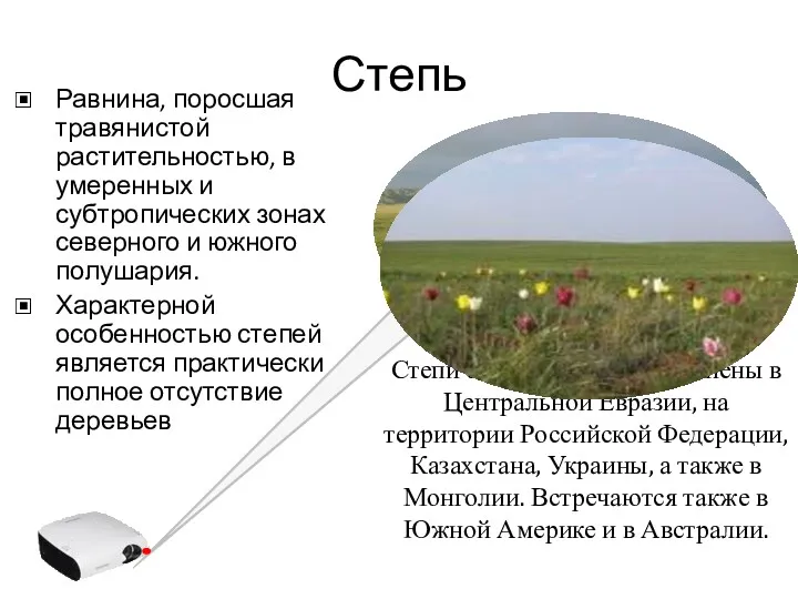 Степь Равнина, поросшая травянистой растительностью, в умеренных и субтропических зонах