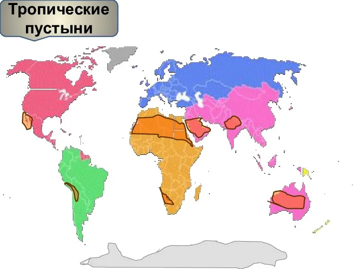 Тропические пустыни