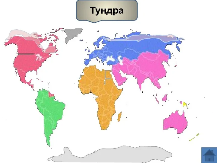 Тундра