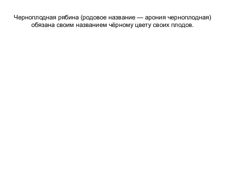 Черноплодная рябина (родовое название — арония черноплодная) обязана своим названием чёрному цвету своих плодов.