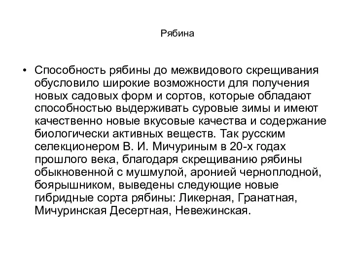 Рябина Способность рябины до межвидового скрещивания обусловило широкие возможности для