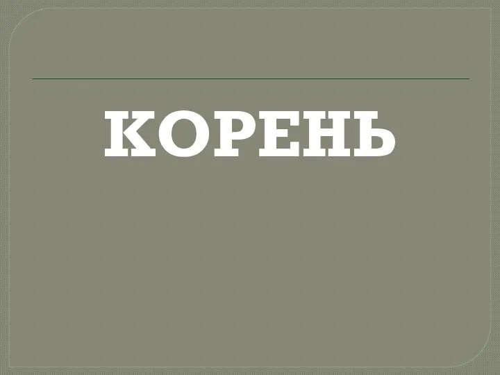 КОРЕНЬ