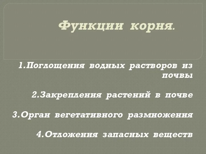 Функции корня. 1.Поглощения водных растворов из почвы 2.Закрепления растений в