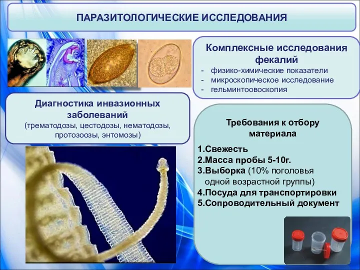 ПАРАЗИТОЛОГИЧЕСКИЕ ИССЛЕДОВАНИЯ Комплексные исследования фекалий физико-химические показатели микроскопическое исследование гельминтоовоскопия Диагностика инвазионных заболеваний