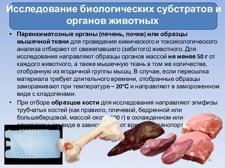 Исследование биологических субстратов и органов животных Паренхиматозные органы (печень, почки) или образцы мышечной
