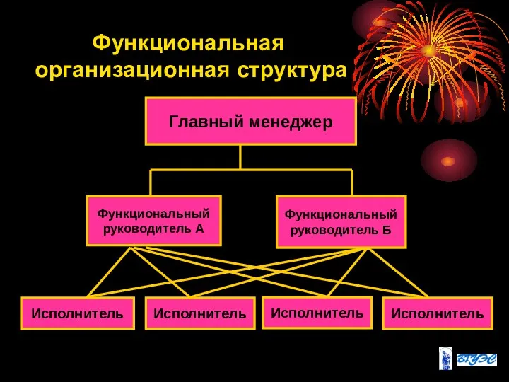 Функциональная организационная структура