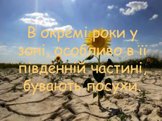 В окремі роки у зоні, особливо в її південній частині, бувають посухи.