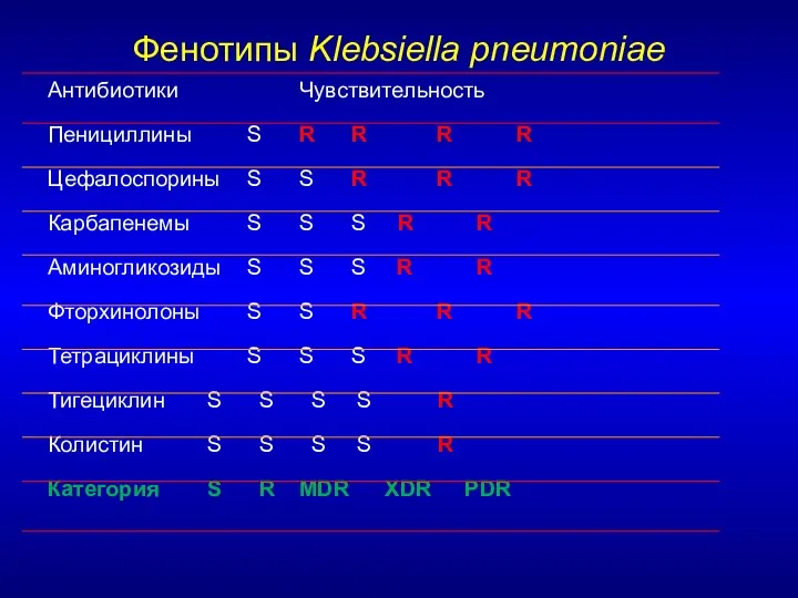 Фенотипы Klebsiella pneumoniae Антибиотики Чувствительность Пенициллины S R R R R Цефалоспорины S