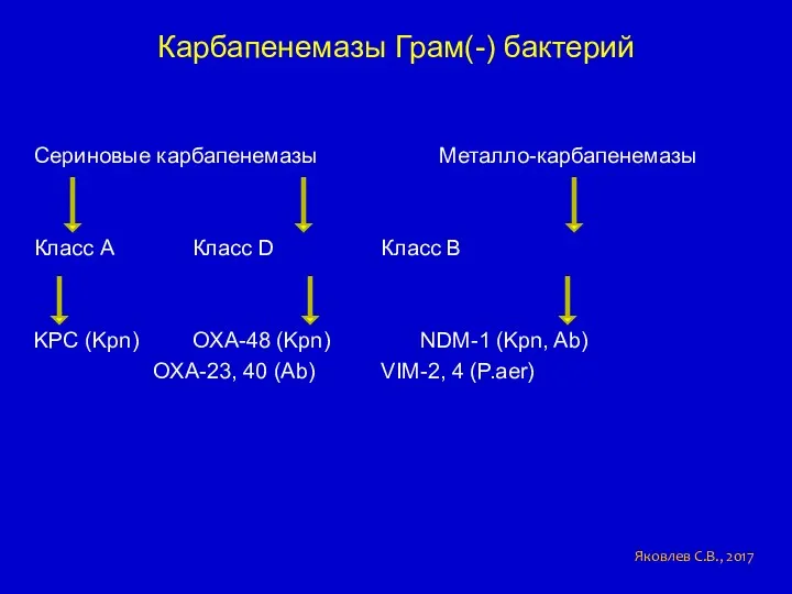 Карбапенемазы Грам(-) бактерий Сериновые карбапенемазы Металло-карбапенемазы Класс А Класс D Класс В KPC