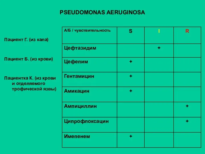 PSEUDOMONAS AERUGINOSA Пациент Г. (из кала) Пациент Б. (из крови) Пациентка К. (из