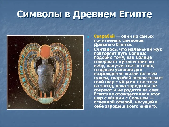 Символы в Древнем Египте Скарабей — один из самых почитаемых