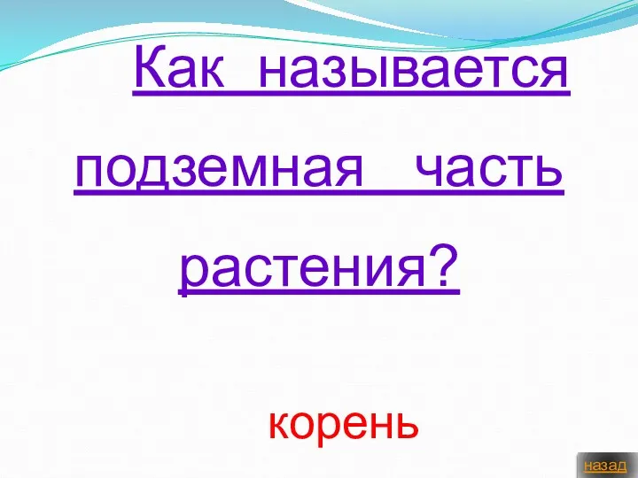 Как называется подземная часть растения? назад корень