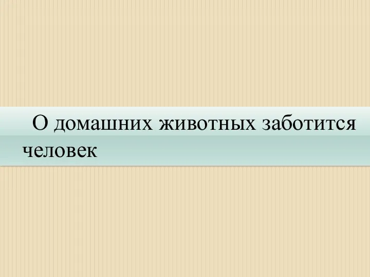 О домашних животных заботится человек