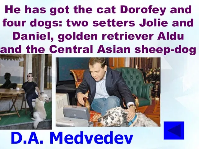 D.A. Medvedev He has got the cat Dorofey and four dogs: two setters