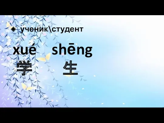 ученик\студент xué shēng 学 生