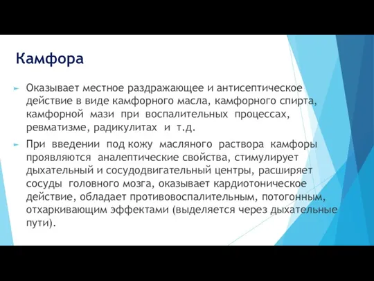 Камфора Оказывает местное раздражающее и антисептическое действие в виде камфорного