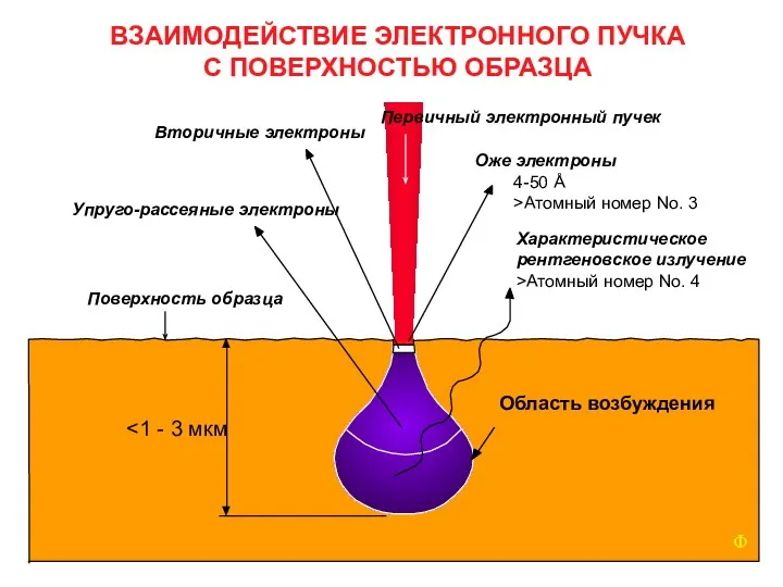 ВЗАИМОДЕЙСТВИЕ ЭЛЕКТРОННОГО ПУЧКА С ПОВЕРХНОСТЬЮ ОБРАЗЦА Первичный электронный пучек Оже