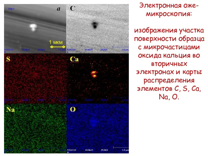 Электронная оже-микроскопия: изображения участка поверхности образца с микрочастицами оксида кальция