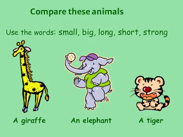 Use the words: small, big, long, short, strong A giraffe