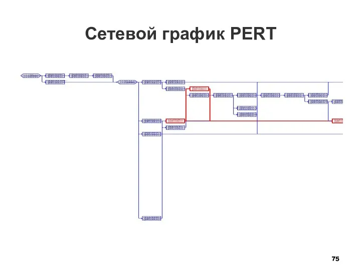 Сетевой график PERT