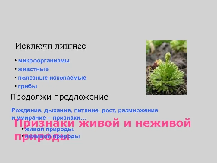 Признаки живой и неживой природы Продолжи предложение микроорганизмы животные полезные