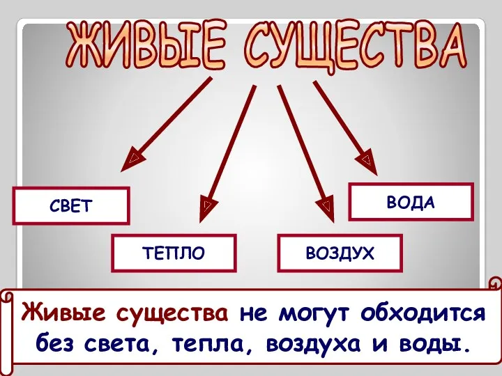 ЖИВЫЕ СУЩЕСТВА СВЕТ ТЕПЛО ВОДА ВОЗДУХ Живые существа не могут