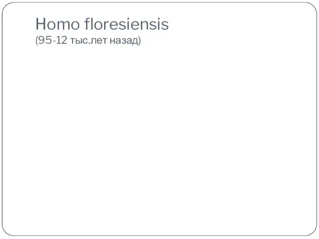 Homo floresiensis (95-12 тыс.лет назад)