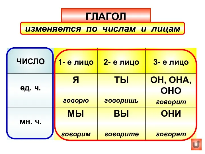 ГЛАГОЛ изменяется по числам и лицам