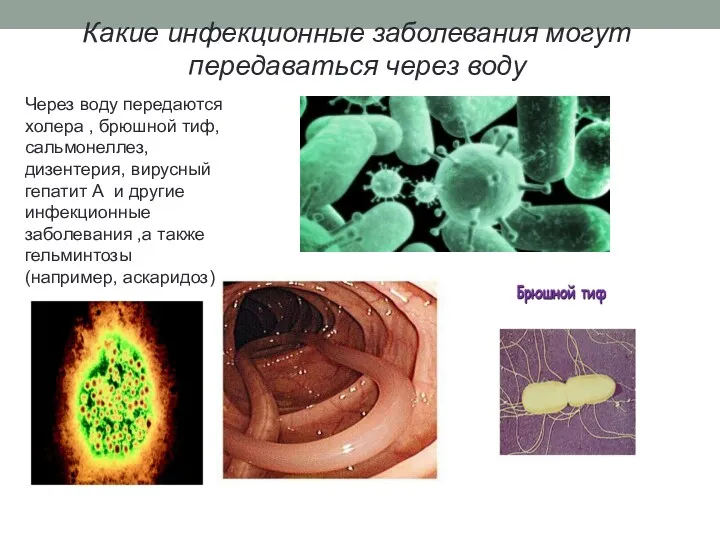 Какие инфекционные заболевания могут передаваться через воду Через воду передаются