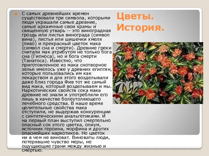 Цветы. История. С самых древнейших времен существовали три символа, которыми