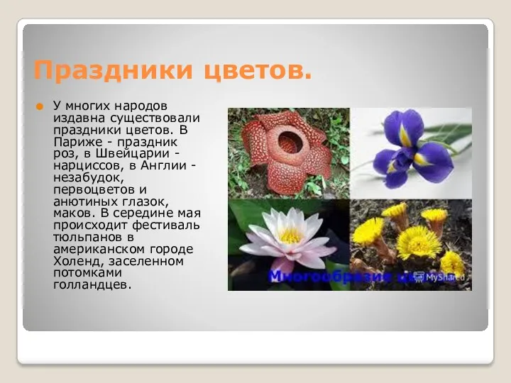 Праздники цветов. У многих народов издавна существовали праздники цветов. В