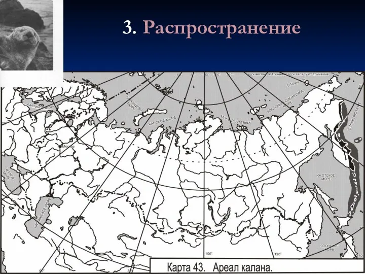 3. Распространение