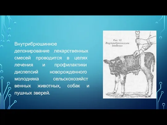 Внутрибрюшинное депонирование лекарственных смесей проводится в целях лечения и профилакти­ки