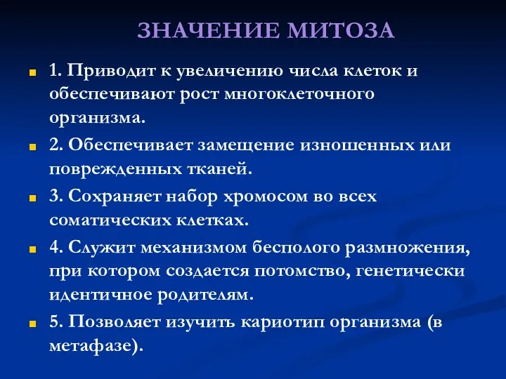 ЗНАЧЕНИЕ МИТОЗА 1. Приводит к увеличению числа клеток и обеспечивают