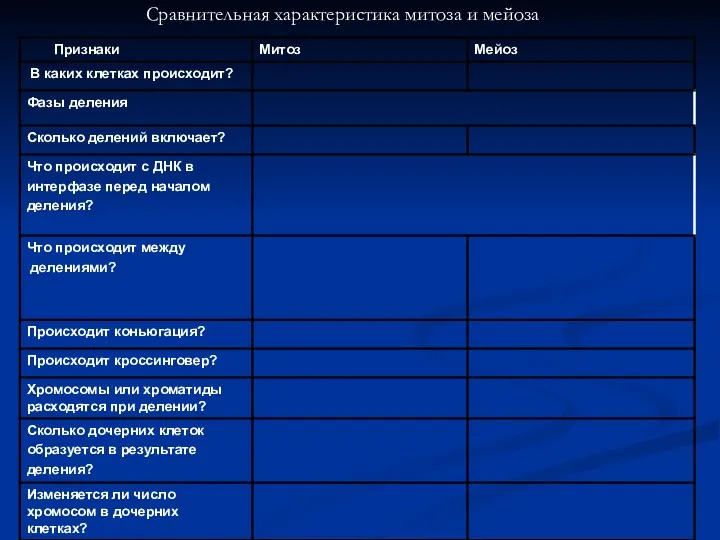 Сравнительная характеристика митоза и мейоза