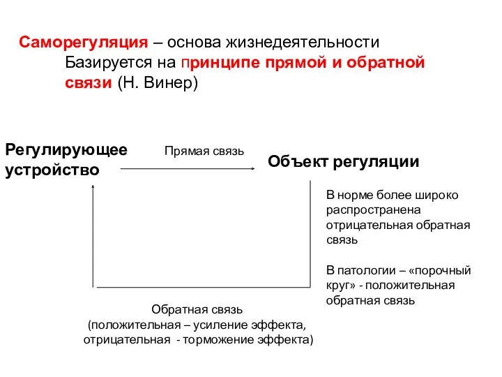 Саморегуляция – основа жизнедеятельности Базируется на принципе прямой и обратной