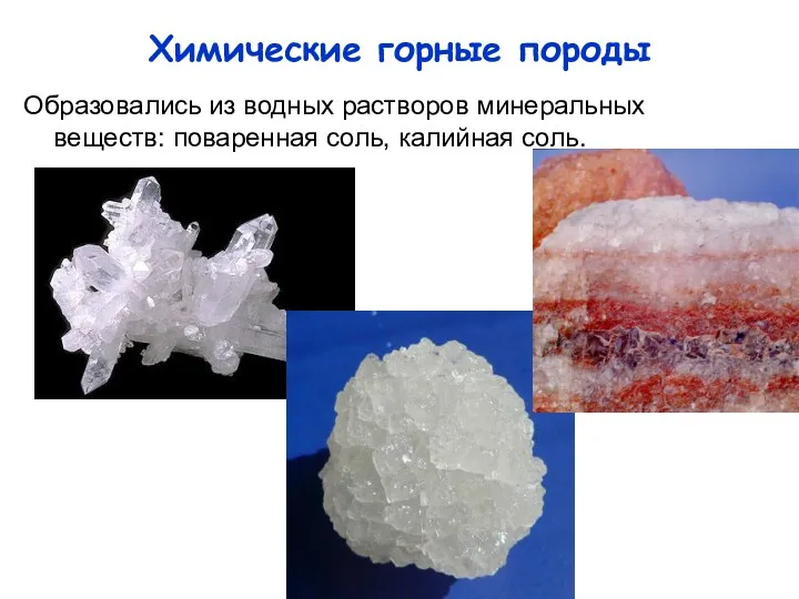 Химические горные породы Образовались из водных растворов минеральных веществ: поваренная соль, калийная соль.
